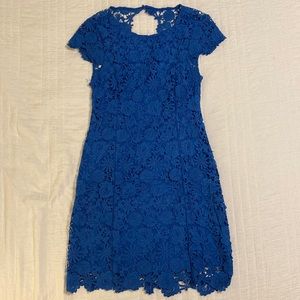 Romance Language Blue Backless Lace Dress